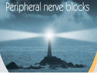 Peripheral nerve block.pptx
